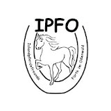 IPFO Logo